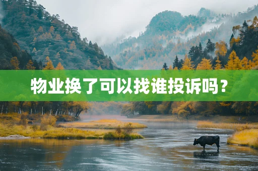 物业换了可以找谁投诉吗？