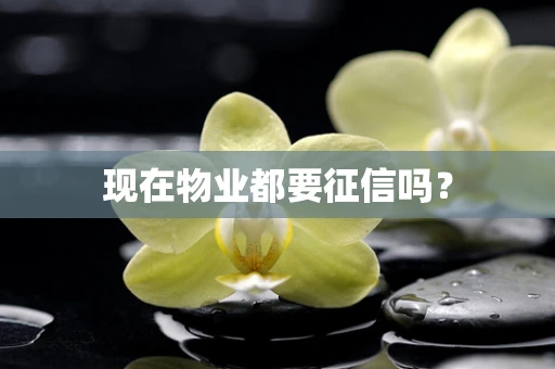 现在物业都要征信吗？