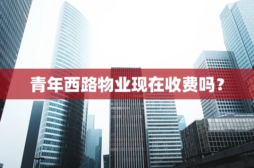 青年西路物业现在收费吗？