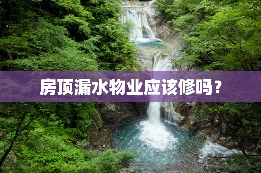 房顶漏水物业应该修吗？