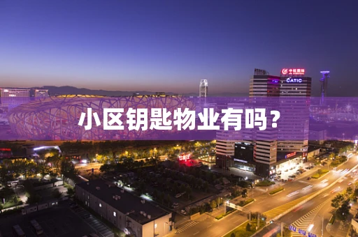 小区钥匙物业有吗？