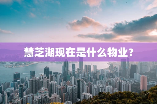 慧芝湖现在是什么物业？