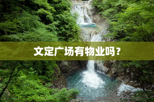 文定广场有物业吗？