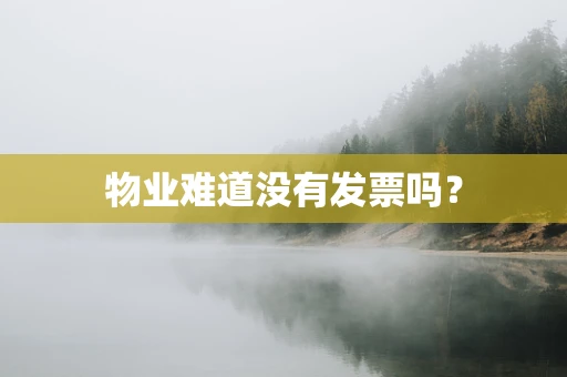 物业难道没有发票吗？