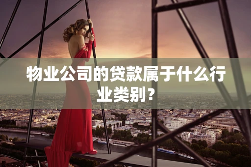 物业公司的贷款属于什么行业类别？