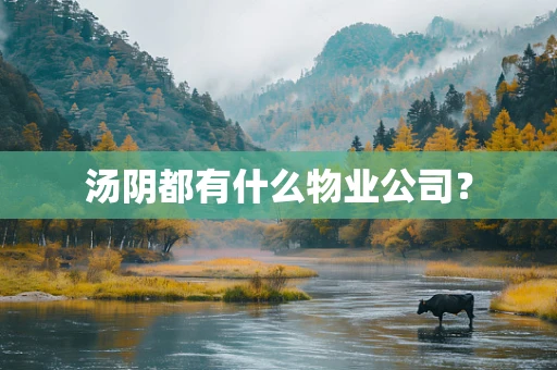 汤阴都有什么物业公司？
