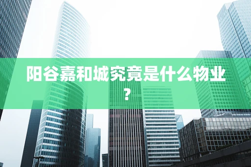 阳谷嘉和城究竟是什么物业？