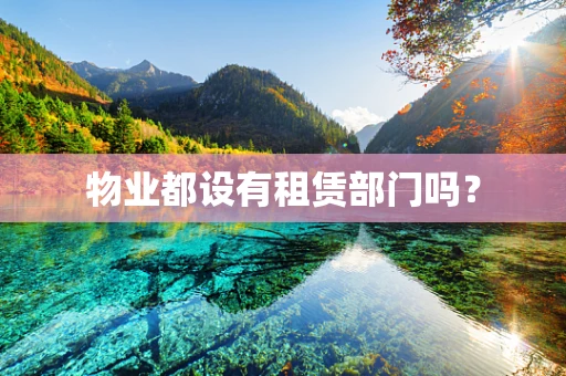 物业都设有租赁部门吗？