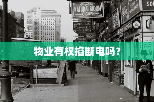 物业有权掐断电吗？