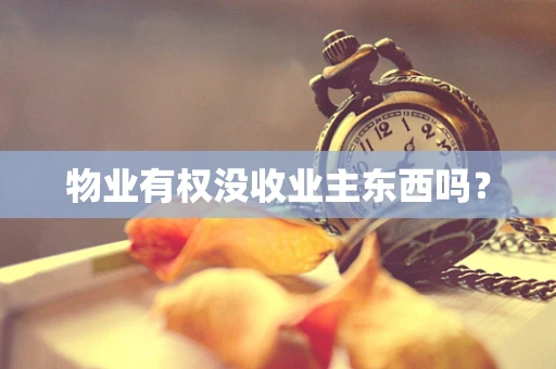 物业有权没收业主东西吗？
