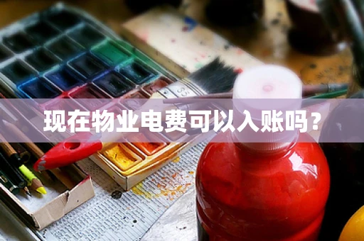 现在物业电费可以入账吗？