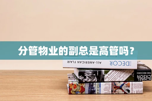 分管物业的副总是高管吗？