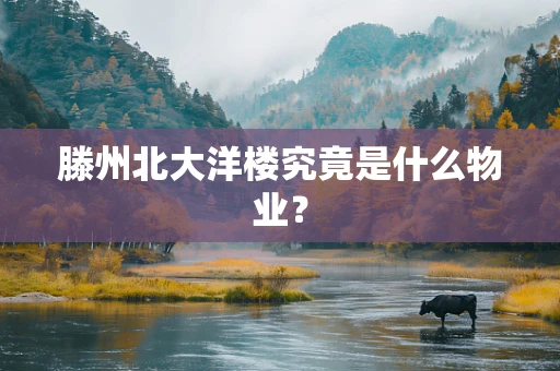 滕州北大洋楼究竟是什么物业？