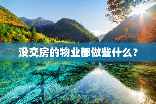 没交房的物业都做些什么？