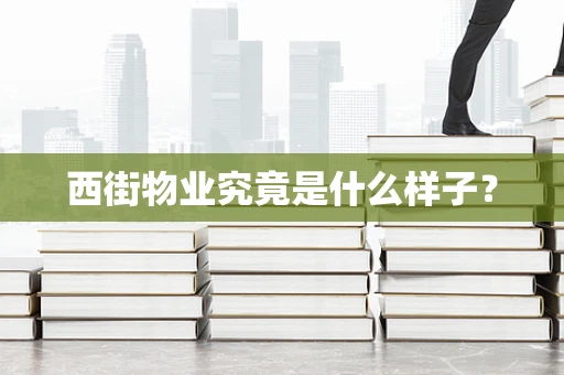 西街物业究竟是什么样子？