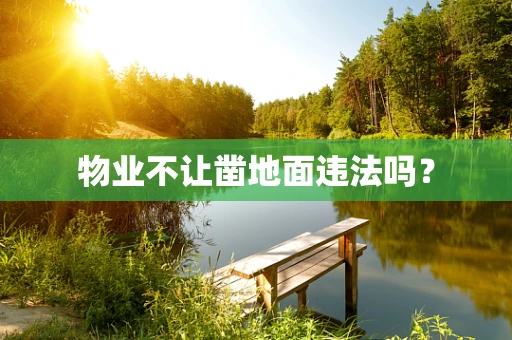物业不让凿地面违法吗？