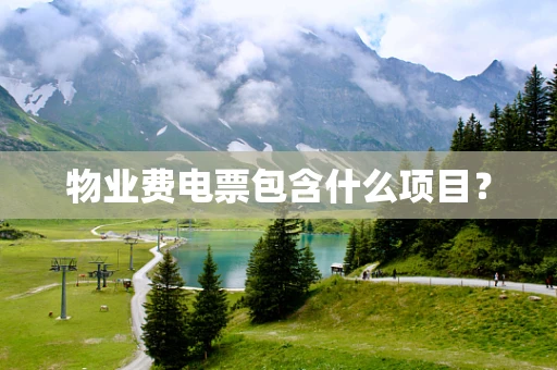 物业费电票包含什么项目？