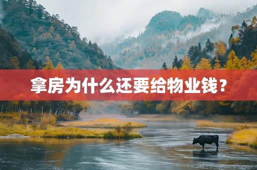拿房为什么还要给物业钱？