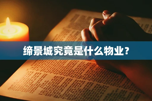 缔景城究竟是什么物业？