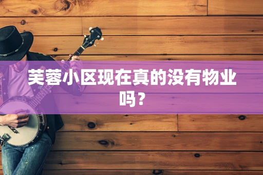 芙蓉小区现在真的没有物业吗？