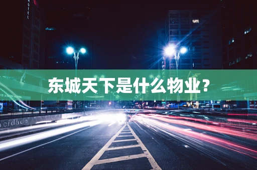 东城天下是什么物业？