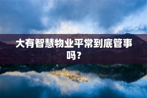 大有智慧物业平常到底管事吗？