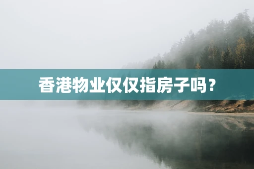 香港物业仅仅指房子吗？