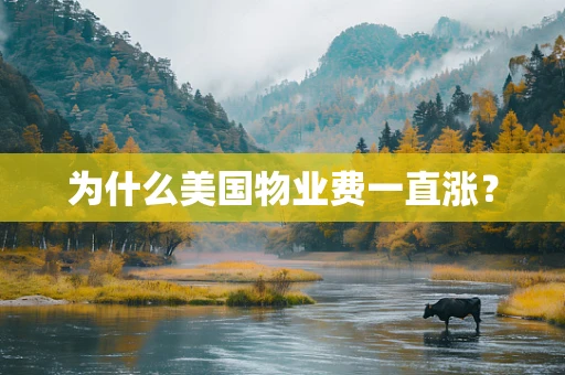 为什么美国物业费一直涨？