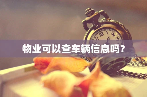 物业可以查车辆信息吗？