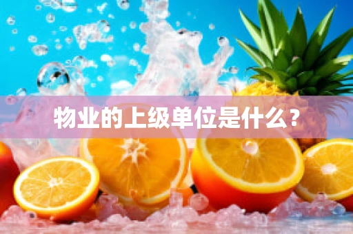 物业的上级单位是什么？