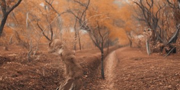 东营小区现在招物业保安吗？