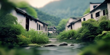 白鹤新村到底有没有物业呢？