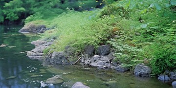 骆城芳洲究竟是什么物业?