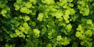 石榴物业租售靠谱吗？