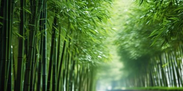 翠竹路物业可靠吗？