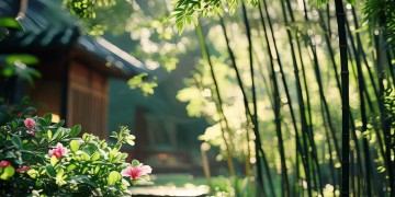南网在线物业信息究竟指什么？