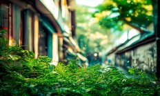 庆春东路物业会收费吗？