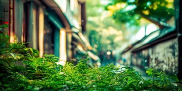 庆春东路物业会收费吗？