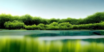 水岸绿景究竟是什么物业？