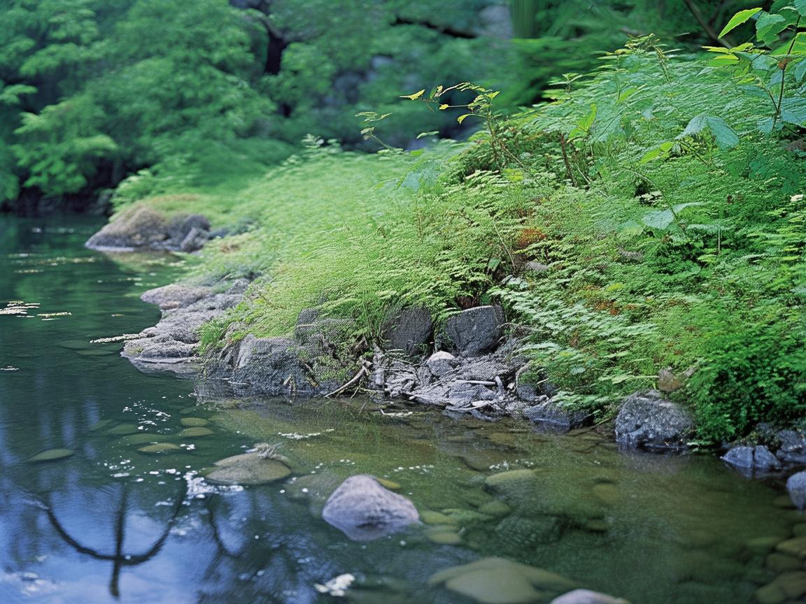 骆城芳洲究竟是什么物业? 骆城芳洲究竟是什么物业?